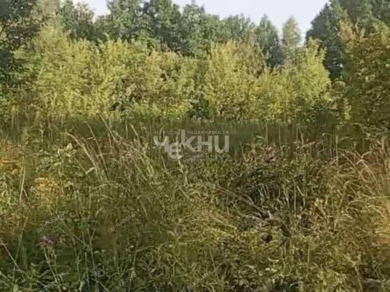 земельный участок 10 004 сотки деревня Досадино